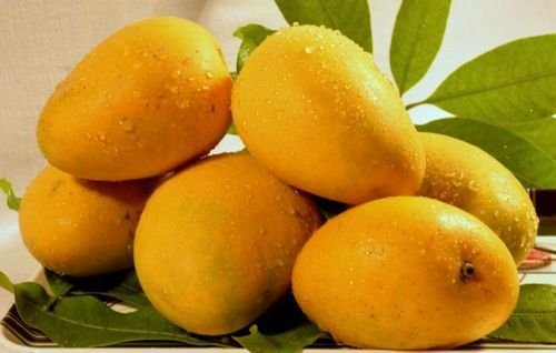 Image result for mango