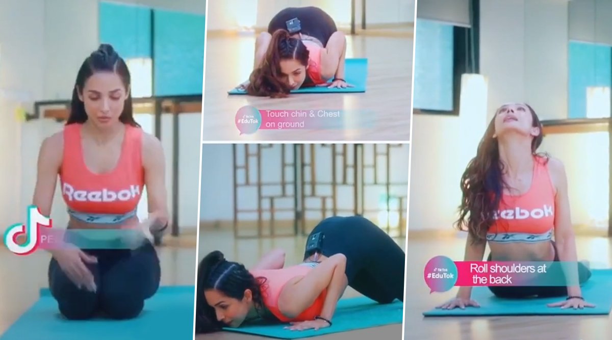 Image result for malaika bhujangasana