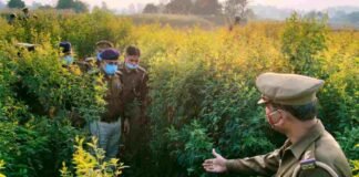 सोनभद्र: शौच गई दलित नाबालिग से गैंगरेप, जलील मोहम्मद समेत 4 गिरफ्तार