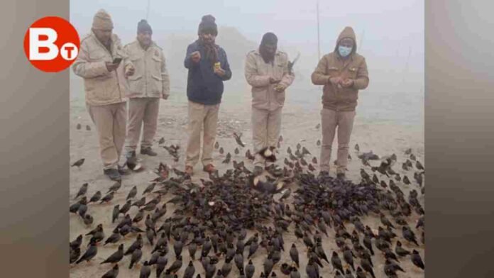 Farrukhabad