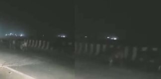 नई और सबसे अनोखी ड्यूटी: पूर्वांचल एक्सप्रेस-वे पर हूटर बजाकर जानवरों को भगा रही UP पुलिस