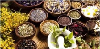 अगर आप भी हैं तनाव के शिकार, तो इस्तेमाल करें ये हर्ब, मिलेगा डिप्रेशन से छुटकारा