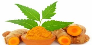 Health Tip: इम्यूनिटी बूस्ट करने के साथ साथ इन कामों में भी मददगार है हल्दी और नीम, जानें फायदे
