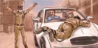सुल्तानपुर : पशु तस्करों ने किया पुलिस टीम को कुचलने का प्रयास, खाई में कूद कर बचाई जान