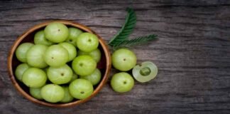 Hair Care: गर्मियों में बालों की कई समस्याओं को दूर करता है आंवला, जानें इस्तेमाल का सही तरीका