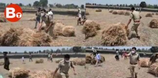 औरैया : गेंहू की फसल में लगी आग, दमकल आने में देरी हुई तो खुद गट्ठर खींचकर हटाने लगे SP अभिषेक, Video वायरल