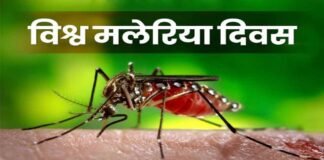 World Maleria Day: कौन सा मलेरिया है सबसे खतरनाक, जानें लक्षण, उपाय और बचाव का तरीका