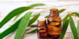 Health Tip: एक्ने और मुंहासों से हैं परेशान, तो स्किन केयर में शामिल करें नीलगिरी का तेल