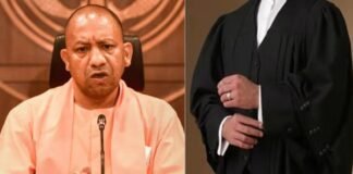UP में अयोग्य सरकारी वकीलों की होगी छंटनी!, CM योगी के निर्देश पर शुरू हुई स्क्रीनिंग unqualified government lawyers