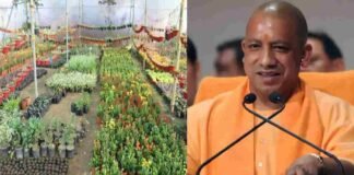 UP में मनरेगा से बनेंगी 150 हाइटेक नर्सरी, किसानों की किस्मत बदलने की योगी सरकार ने कर ली तैयारी
