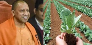 योगी 2.0 में होगी जैविक खेती की जय-जय, मिशन प्राकृतिक खेती के जरिए हर गांव में होगी जैविक खेती