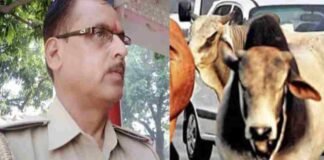 बुलंदशहर: थाने में घुसा सांड, सामने आए दारोगा को उठाकर पटक दिया