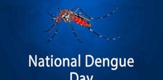 National Dengue Day: आज है नेशनल डेंगू डे, जानें इस बीमारी के लक्षण और उपचार के सही तरीके
