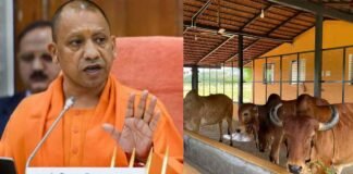 UP में गोवंश को भीषण गर्मी से बचाने में जुटे CM योगी, ब्लॉक स्तर पर बड़े गो-आश्रय स्थल बनाने के दिए निर्देश CM Yogi Adityanath cow shelters