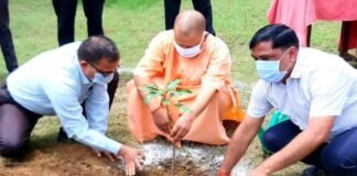 UP में पौधारोपण से होगा नदियों का पुनरुद्धार, इस साल शहरों में 35 लाख पौधे लगाएगी योगी सरकार Tree Plantation
