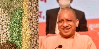 UP में गाढ़ी होगी आम आदमी की दाल, योगी सरकार ने 5 साल में उत्पादन 25.50 टन से बढ़ाकर 35.79 लाख टन करने का रखा लक्ष्य