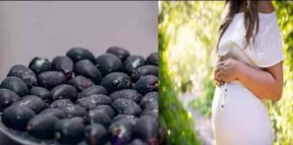 Health Tip: गर्भवती महिला के लिए बेहद लाभकारी है जामुन, खाने से सेहत को मिलेंगे 10 फायदे