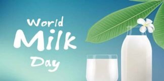 World Milk Day: त्वचा के लिए बेहद फायदेमंद है दूध, ये लाभ जान गए तो तुरंत करने लग जाएंगे इस्तेमाल