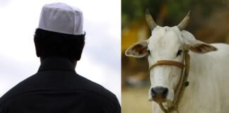 अयोध्या में हवस मिटाने के लिए शाहबुद्दीन ने गाय से किया रेप, जानवर से अप्राकृतिक सेक्स का केस दर्ज, आरोपी ने स्वीकारा अपना जुर्म Shahbuddin raped cow