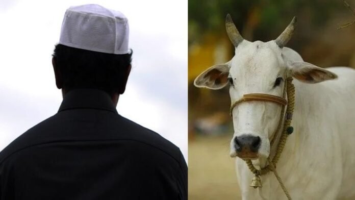 Shahbuddin raped cow