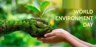World Environment Day: जानें क्यों मनाया जाता है विश्व पर्यावरण दिवस, प्रकृति को बचाना चाहते हैं तो न करें ये गलतियां