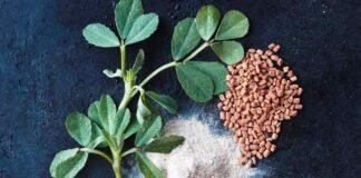 वजन घटाने से लेकर दिल की समस्या के समाधान तक, कई बड़ी परेशानियों में काम आता है मेथी दाना