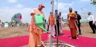 CM योगी ने UP में शुरू किया मेगा वृक्षारोपण अभियान, 15 अगस्त तक प्रदेश भर में लगाए जाएंगे 35 करोड़ पौधे CM Yogi Adityanath