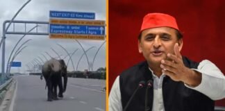 लखनऊ एक्सप्रेसवे पर हाथी देख अखिलेश ने योगी सरकार पर कसा तंज, बोले- गनीमत है कि बुंदेलखंड एक्सप्रेसवे पर नहीं गया Akhilesh Yadav Elephant
