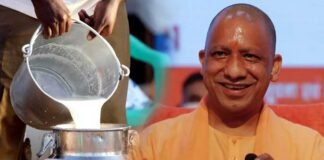 योगी सरकार का बड़ा फैसला, UP में दुग्ध प्रसंस्करण इकाई लगाने पर मिलेगी 5 करोड़ रुपए तक की छूट Yogi Government milk processing unit