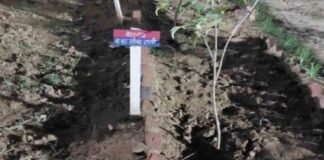 UP : अगर पुलिसकर्मियों को चाहिए छुट्टी, तो रखना होगा अपने पौधे का खास ध्यान