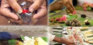 Pitru Paksha 2024: पितृपक्ष में भूलकर भी ना करें ये गलतियां, पितरों की आत्मा हो जाती है नाराज