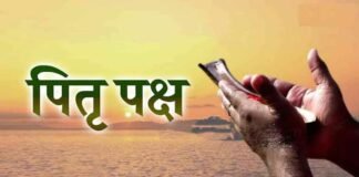 Pitru Paksha 2024: श्राद्ध पक्ष में जरूर दान करें ये 7 चीजें, सुख-समृद्धि आयेगी आपके घर