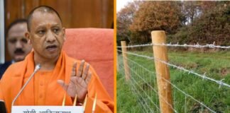 UP: खेतों में नहीं हो सकेगा कांटेदार तारों का इस्तेमाल, योगी सरकार ने जानवारों की सुरक्षा के मद्देनजर लगाई रोक Yogi Government barbed wire
