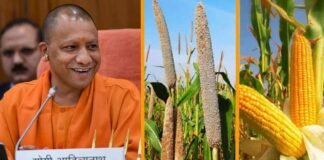 UP के किसानों को बड़ी राहत देने की तैयारी में योगी सरकार, फिर शुरू होगी मक्के और बाजरे की खरीद, तय हुआ सरकारी रेट Yogi government