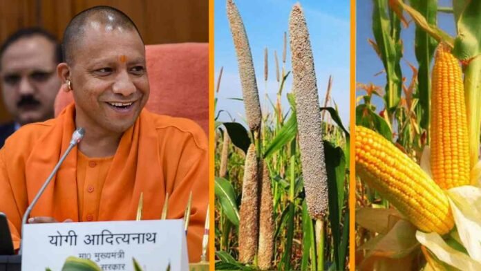 Yogi government