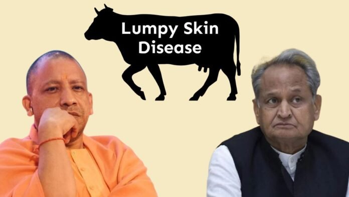 Yogi Government Lumpy Skin Disease