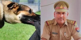 UP पुलिस के दारोगा को काटने के बाद कुत्ते की मौत, सोशल मीडिया पर मजे ले रहे लोग