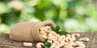 Health Care: काजू खाना सेहत के लिए फायदेमंद है या नुकसानदायक, जानें इसके साइड इफेक्ट्स