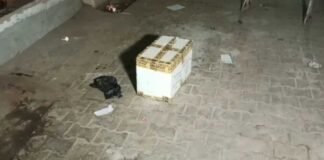 फर्रुखाबाद : बीच सड़क संदिग्ध डिब्बा मिलने से हड़कंप, जांच में हुआ खुलासा