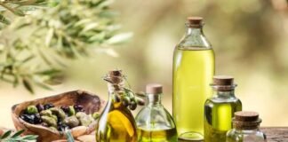 Health Care: शरीर के लिए बेहद फायदेमंद है जैतून का तेल, जानें इसके 5 बड़े फायदे