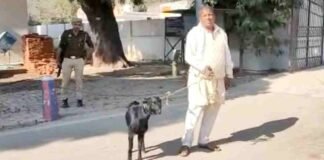 बरेली में बकरा लेकर SSP ऑफिस पहुंचा युवक, CO से लगाई अजीबो-गरीब गुहार