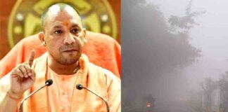 UP में बढ़ते कोहरे को देख CM योगी ने जारी किए निर्देश- रैन बसेरों की व्यवस्था करें अधिकारी, सड़क पर न सोए कोई भी शख्स