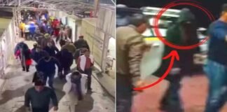 ‘हिंदुओं को बेवकूफ समझा है क्या…’, Pathan की रिलीज से पहले माता वैष्णों के दरबार में पहुंचे शाहरूख खान तो भड़के यूजर्स