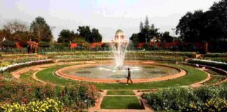 Mughal Garden का बदला गया नाम, अब Amrit Udyan से पहचाना जाएगा