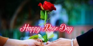 Valentine Week: आज से शुरू हो रहा प्यार का सप्ताह, जानिए वेलेंटाइन डे से पहले इन दिनों में क्या होता है खास Valentine week