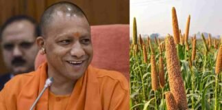 श्रीअन्न की खेती करने वाले किसानों को मालामाल कर रही योगी सरकार