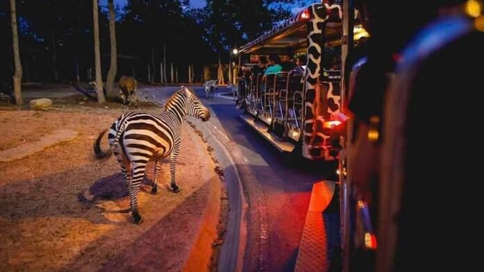 night safari Lucknow