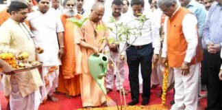 UP के शहरी क्षेत्रों को हरा-भरा करने की तैयारी, ‘उपवन योजना’ शुरू करने जा रही योगी सरकार