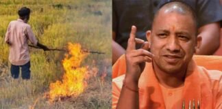 यूपी में पराली न बने प्रदूषण का मुद्दा, किसानों में 17 लाख बायो डीकंपोजर बाटेंगी योगी सरकार