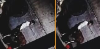 मुरादाबाद: गाय के साथ कुकर्म कर रहा था भूरा शेख, पुलिस ने भेजा जेल Moradabad